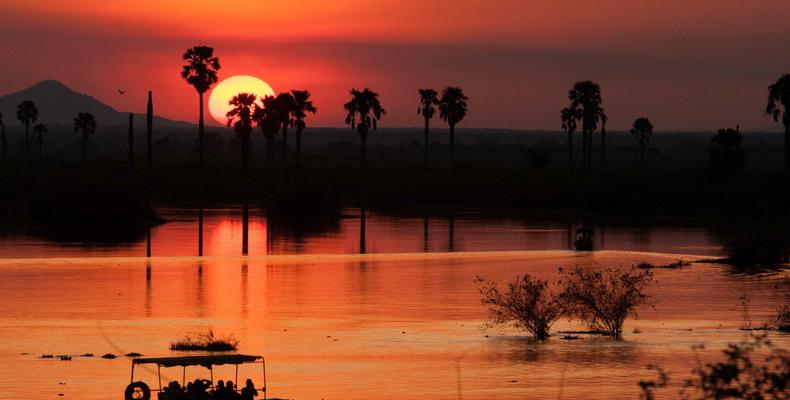 Boat Safari at sunset