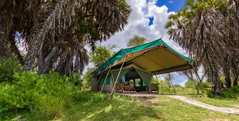 Tent