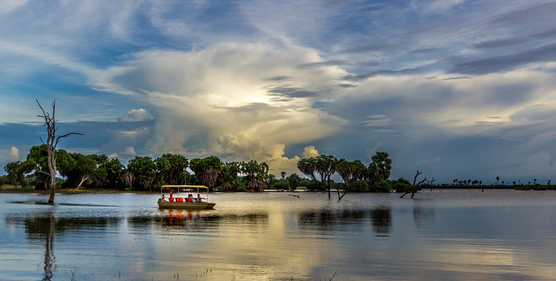 Boat Safari