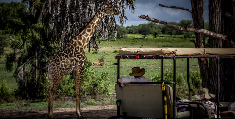 Game Drive