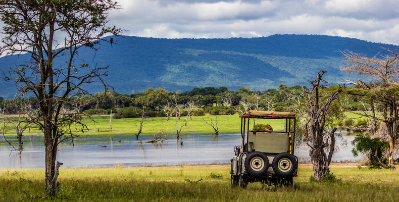 Game Drive