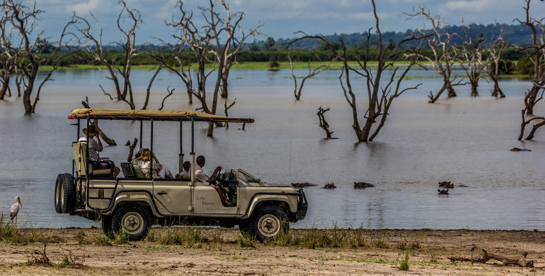 Game Drive