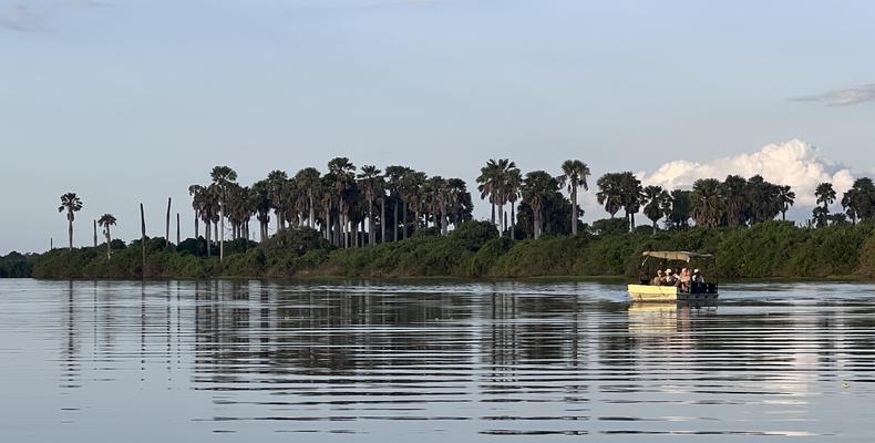 Boat Safari