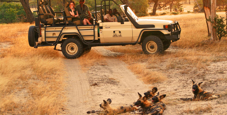 Game Drive from Selous Impala Camp