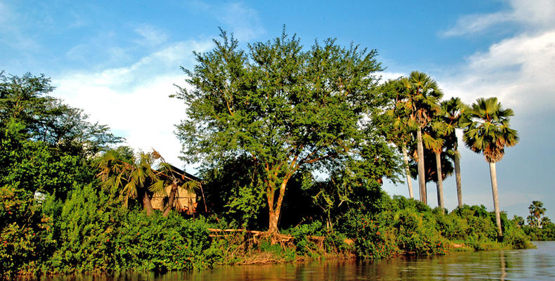Selous Impala Camp tent 6 from the Rufiji River