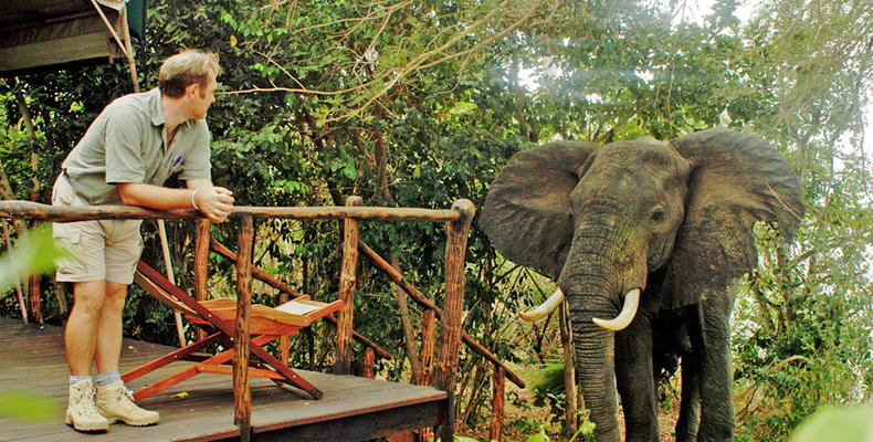 Selous Impala Camp veranda