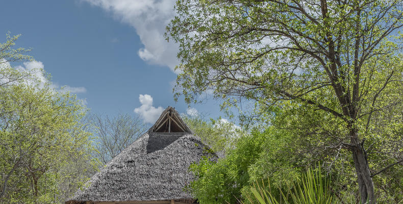 Siwandu