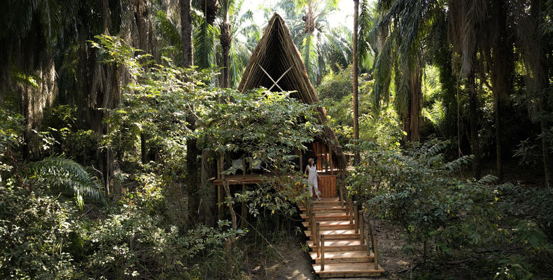 A-Frame banda set back in the forest 