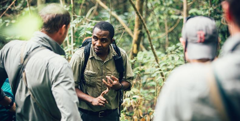 Fantastic chimp guides