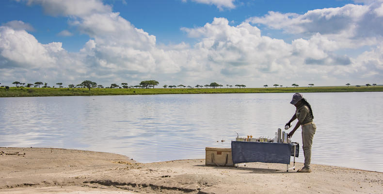 Dunia - Picnic On the Banks of the Seronera River