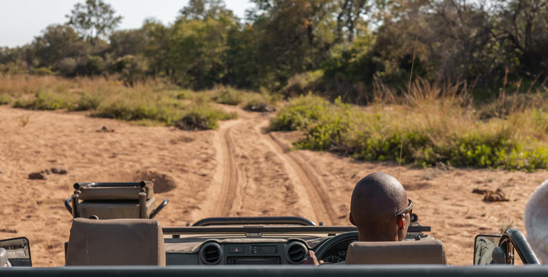 Game Drives Nsala Wilderness Camp