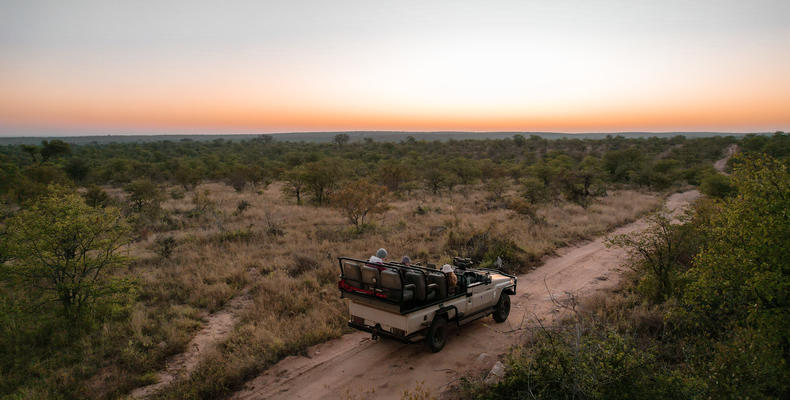 Game Drives Nsala Wilderness Camp