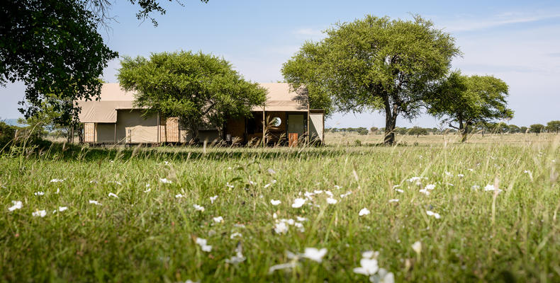 Singita Sabora Tented Camp - Suite