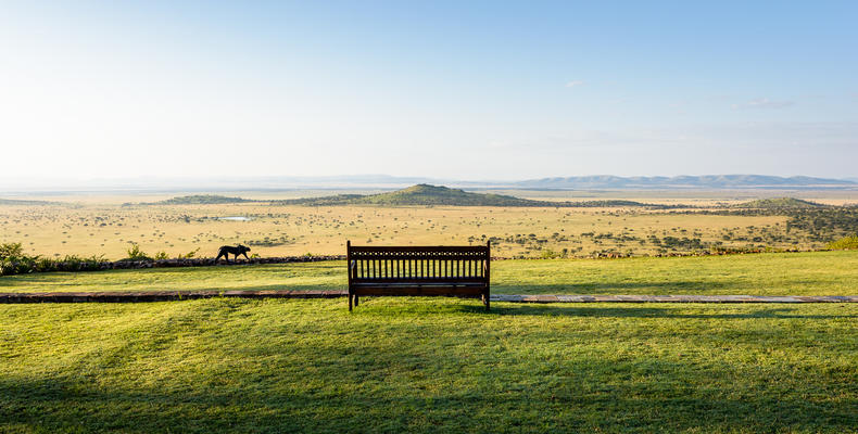 Singita Sasakwa Lodge