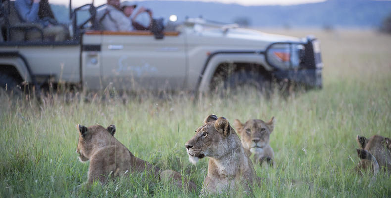Singita Sasakwa Lodge - Wildlife