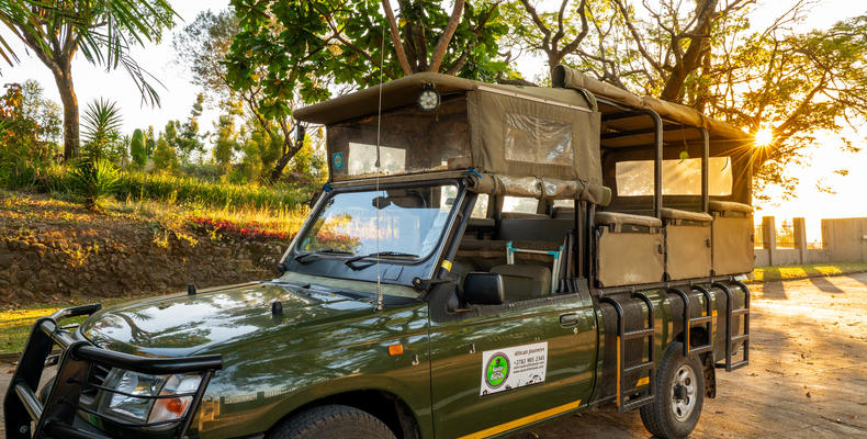Game Drive Vehicle