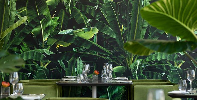Hotel Dining Area