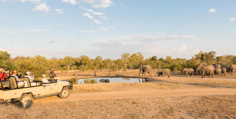 Wildlife at Arathusa