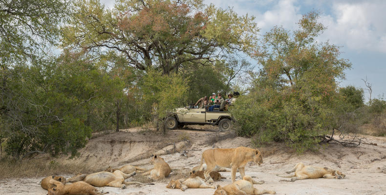 Wildlife at Arathusa