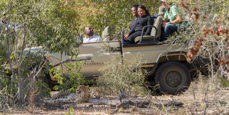Wildlife at Arathusa