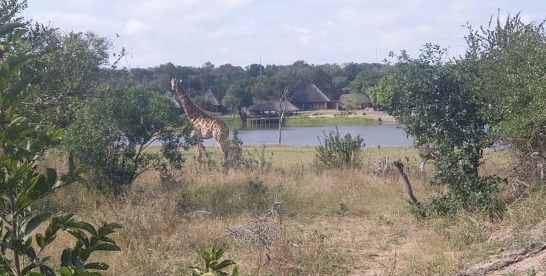 Arathusa view of waterhole
