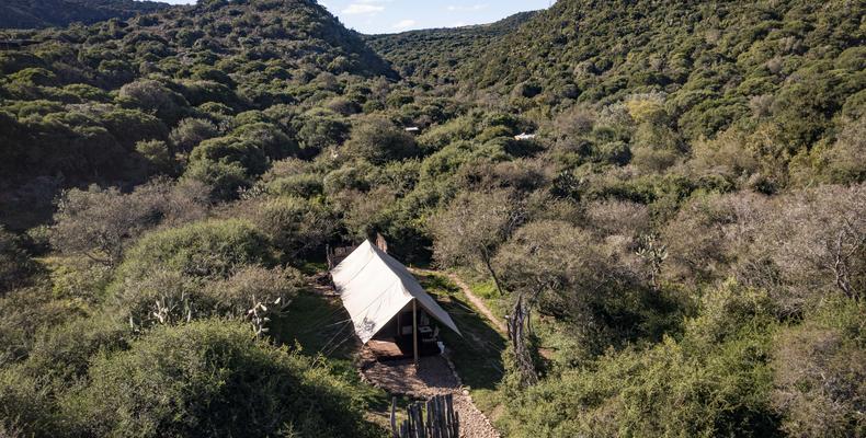 Tent aerial view