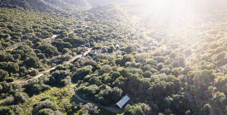 Camp from above