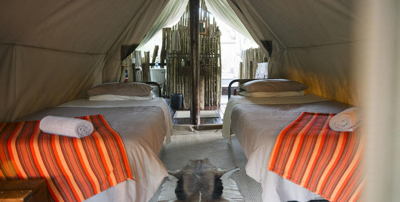 Twin Tent