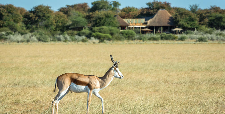 Wilderness Kalahari Plains Camp