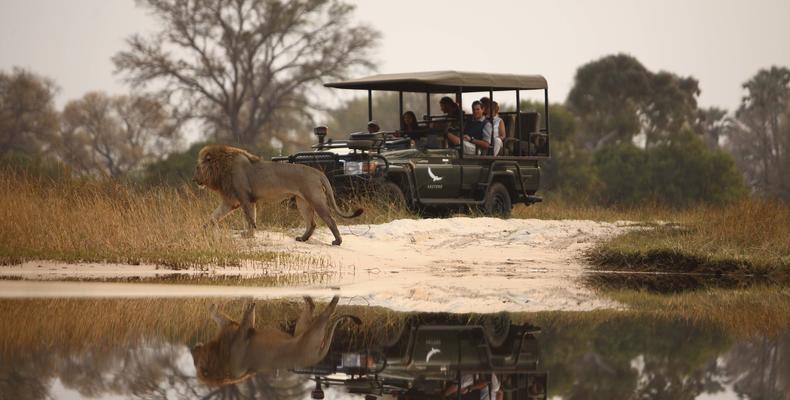 Sandibe Okavango Safari Lodge	