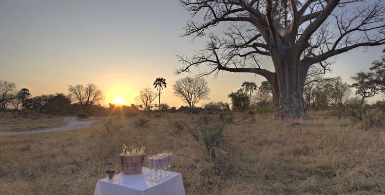 Sandibe Okavango Safari Lodge	
