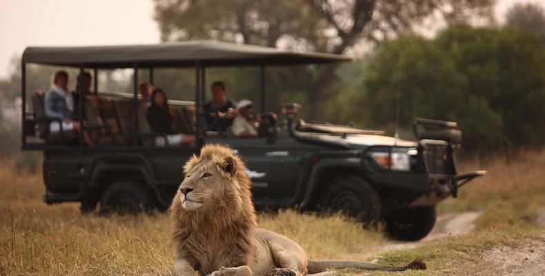 Sandibe Okavango Safari Lodge	
