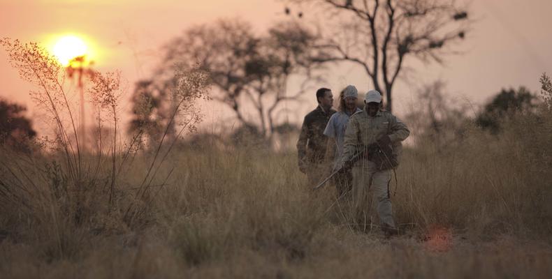 Sandibe Okavango Safari Lodge	
