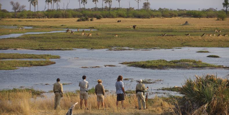Sandibe Okavango Safari Lodge	