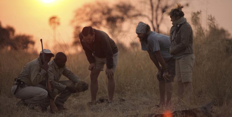 Sandibe Okavango Safari Lodge	