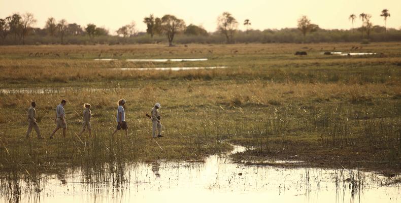 Sandibe Okavango Safari Lodge	