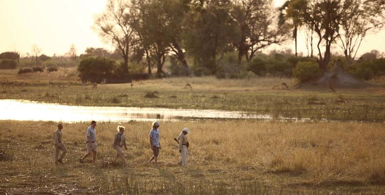 Sandibe Okavango Safari Lodge	