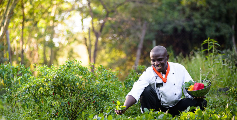 Sanctuary Olonana organic garden