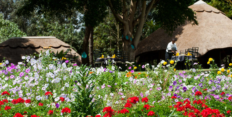 Ngorongoro Farm House - Karatu
