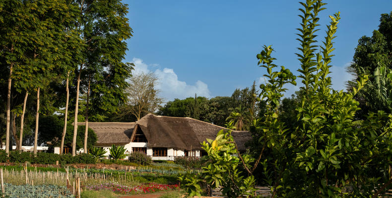 Ngorongoro Farm House - Vegetables