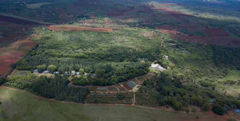 Ngorongoro Farm House - from heghts