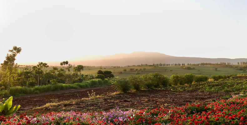 Ngorongoro Farm House - Karatu