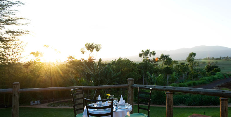 Ngorongoro Farm House - Karatu