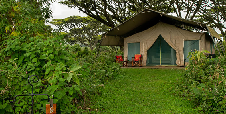 Exterior view of the Tent