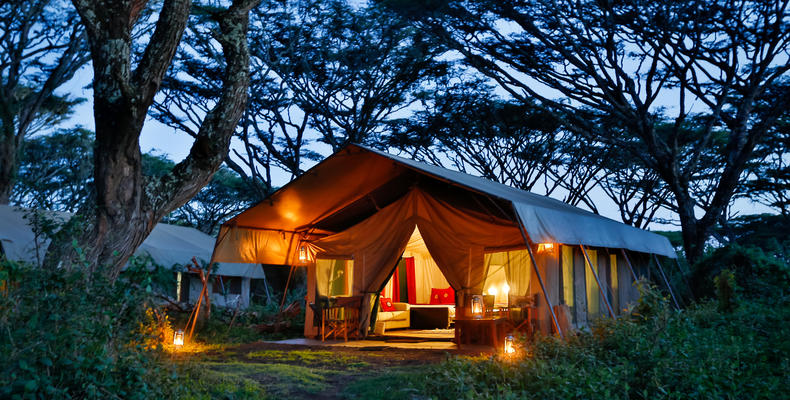 Standard Tent at night
