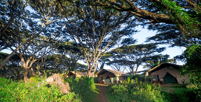 Exterior view of the Tent