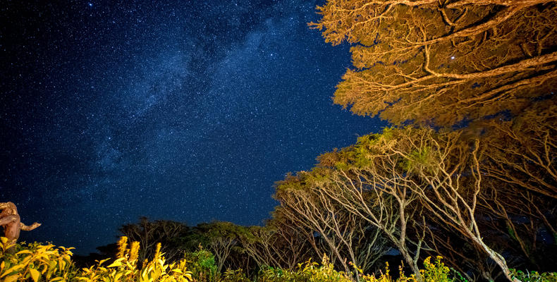 Star Studded Skies