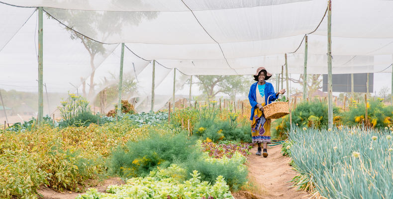 Thornybush Community Project