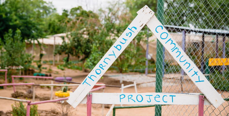 Thornybush Community Project