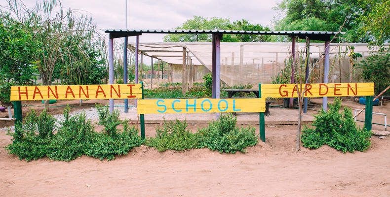 Thornybush Community Project